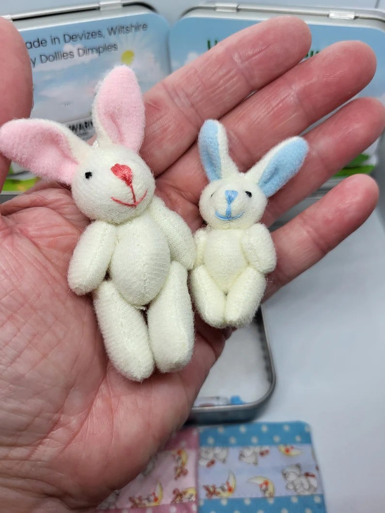 Coniglietti carini nella scatola di latta – mamma e cucciolo