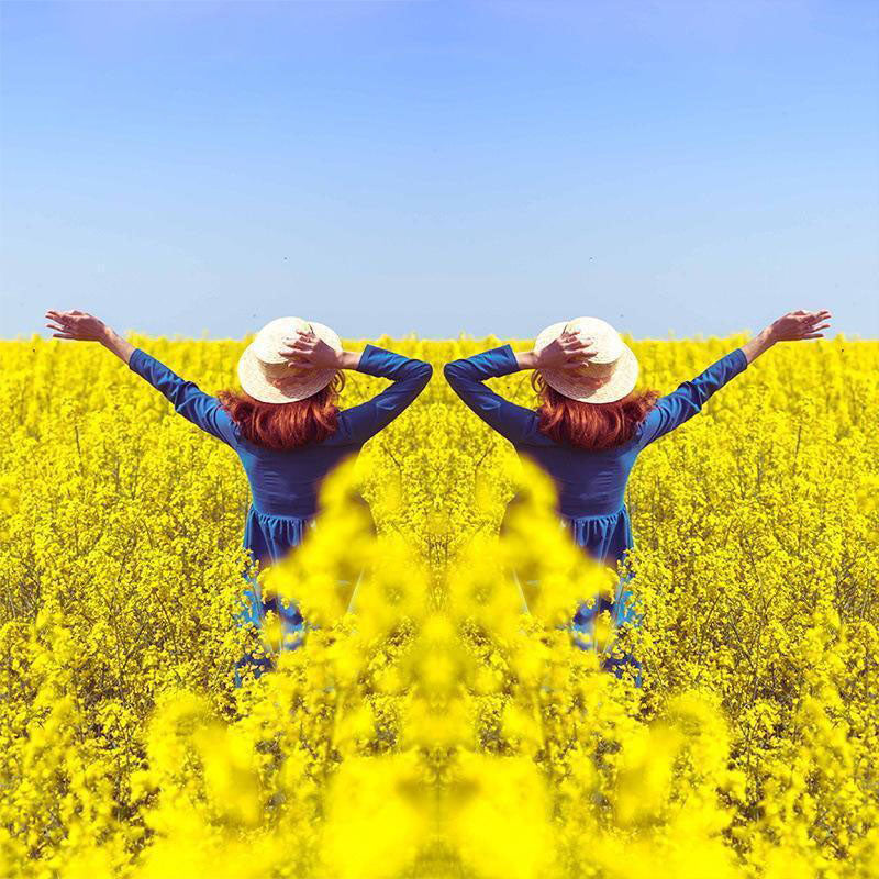 Lente effetto specchio: cattura riflessi sorprendenti all'istante