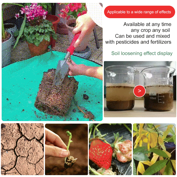 Agente Ammendante e Dissodante del Suolo