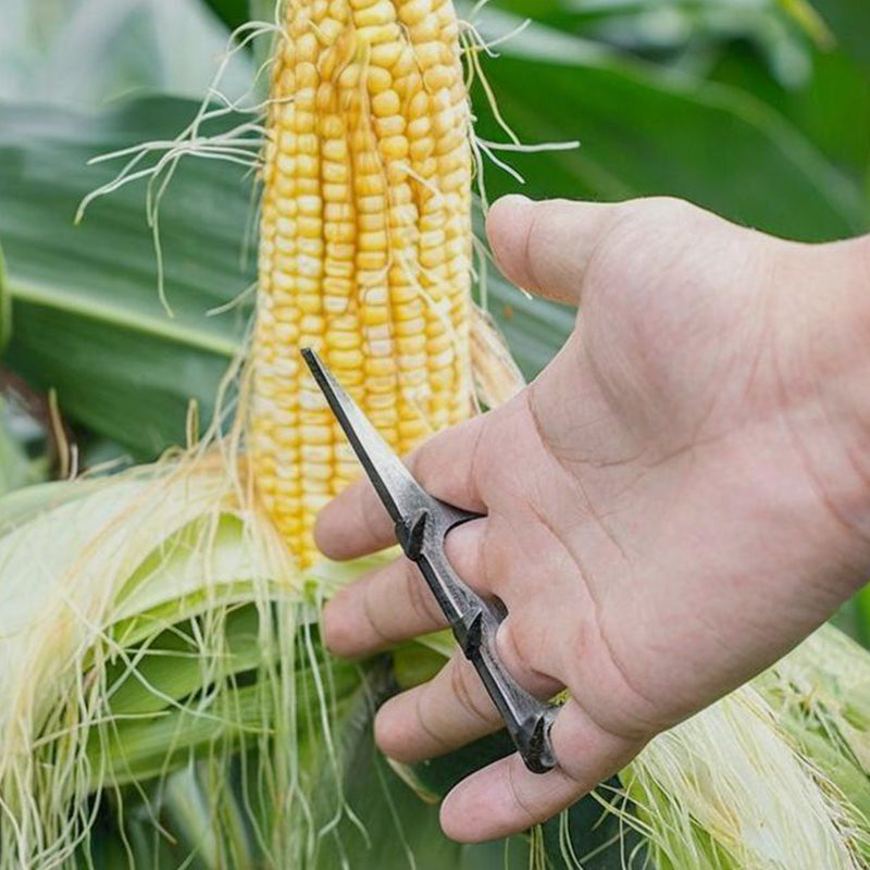 Strumento Sgranatore e Sbucciatore di Mais 🌽⚙️
