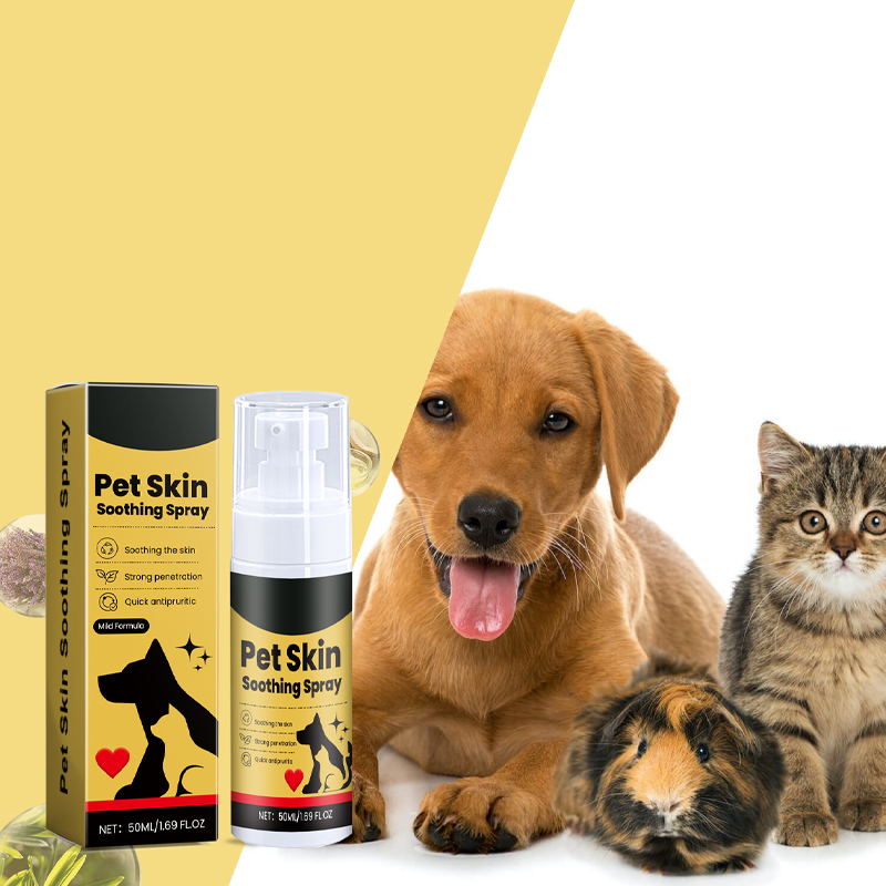 🥳SUPER OFFERTA 2026🥳💞50K+ VENDUTI! 🐶💨 50% DI SCONTO! Spray Lenitivo per Animali – Sollievo rapido dal prurito per punti caldi, allergie e punture di insetti. Formula naturale al tea tree e lavanda – sicura per cani e gatti di tutte le età! 🛡️🐱