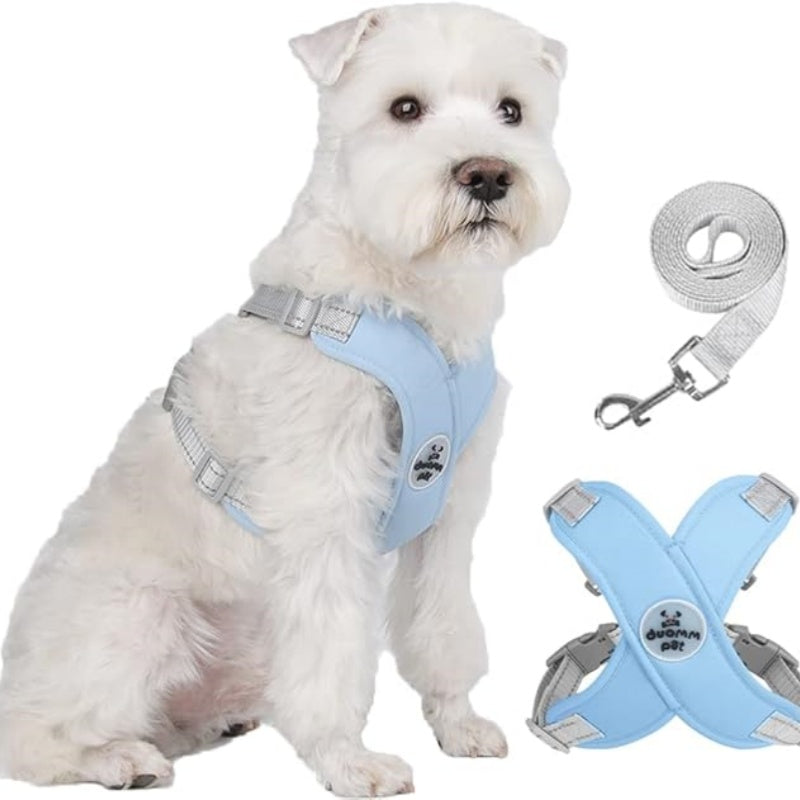 Set Pettorina per Cani Anti-Trazione a X con Guinzaglio