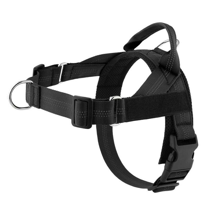 Pettorina imbottita per cani, facile da indossare e togliere, ideale per le passeggiate.