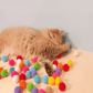 Pistola Lancia Palline di Peluche per Gatti – Gioco Interattivo per Animali Domestici