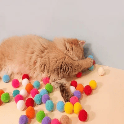 Pistola Lancia Palline di Peluche per Gatti – Gioco Interattivo per Animali Domestici