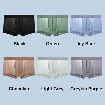 🔥2024 HOT SALE 49% OFF🔥Antibacterial Thin and Light Men's Ice Silk Brief