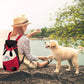 🐾✨ Zaino trasportino per cani e gatti – Dì Addio al disagio quando porti il tuo animale fuori! 🚫 Traspirante, sicuro, spallacci imbottiti, adatto per piccoli animali sotto 8kg 🚶 ✨