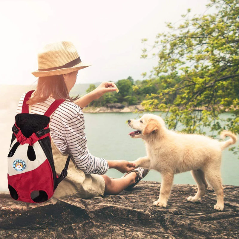 🐾✨ Zaino trasportino per cani e gatti – Dì Addio al disagio quando porti il tuo animale fuori! 🚫 Traspirante, sicuro, spallacci imbottiti, adatto per piccoli animali sotto 8kg 🚶 ✨