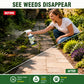 🥳SUPER VENDITA 2026🥳💞50K+ VENDUTI! 🌿🛡️ 50% DI SCONTO! Erbicida Senza Glifosato – Sicuro per animali e bambini, efficace contro le erbacce. Formula rapida e biodegradabile – la cura del giardino resa semplice! 🏠💚