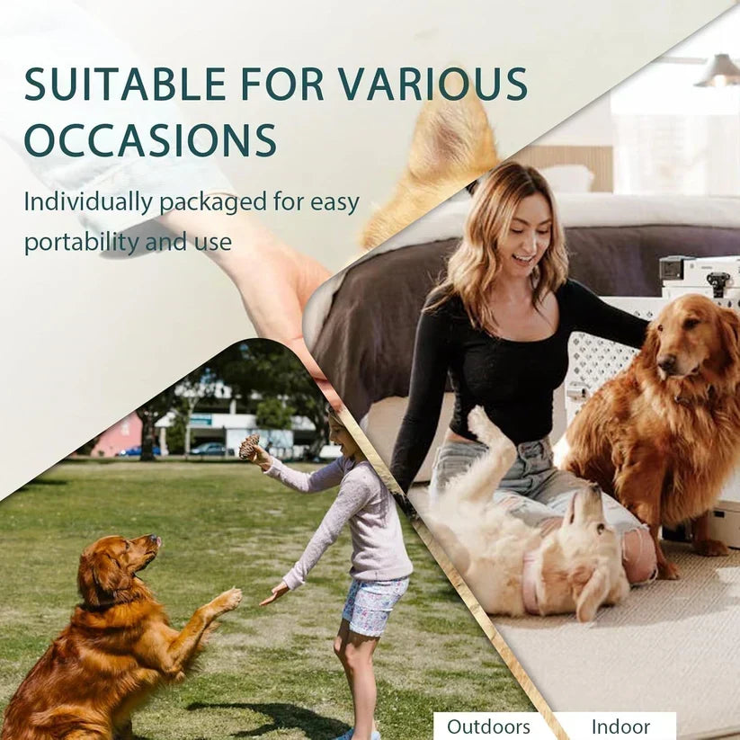 🥳OFFERTA SPECIALE 2026🥳💞OLTRE 50.000 VENDUTI! 🐾🧤 Guanti detergenti senza risciacquo per animali – design a cinque dita per muso, zampe e ventre. Deodoranti, antibatterici e ipoallergenici. Nessun bagno necessario! ✨✅