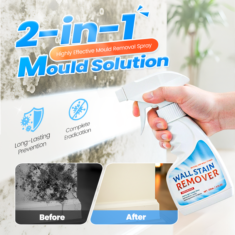 🔥Vendita Calda 2026🔥Spray Altamente Efficace per la Rimozione della Muffa - Previene la Ricrescita