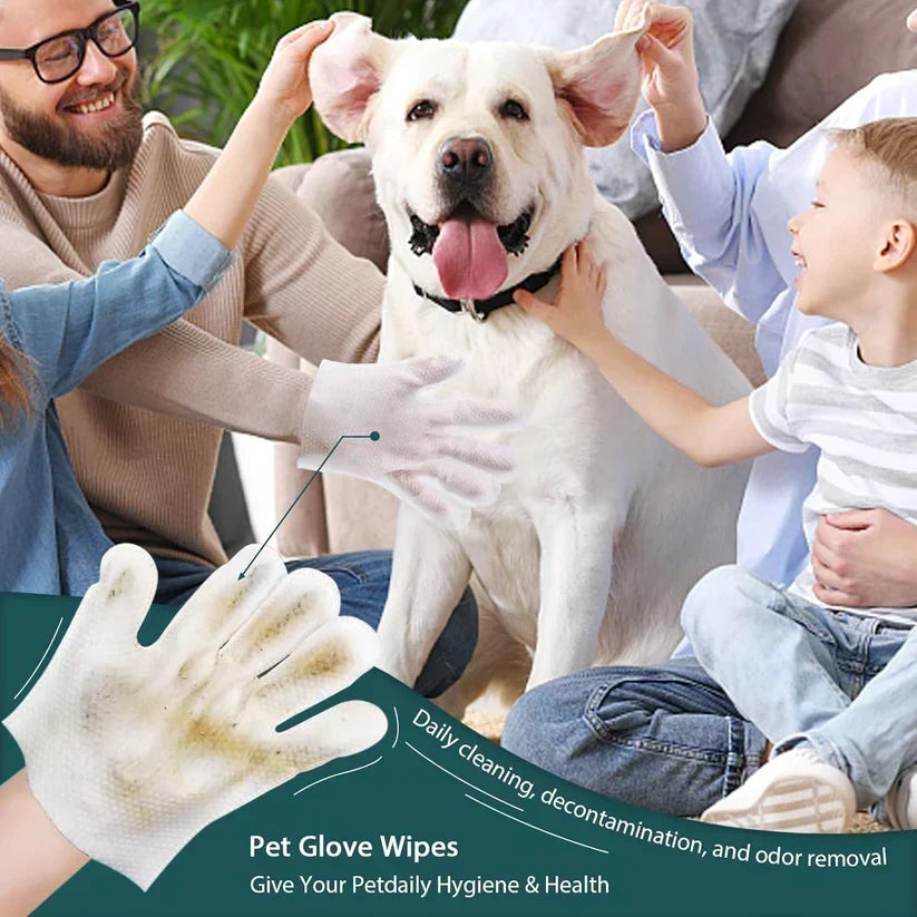 🥳OFFERTA SPECIALE 2026🥳💞OLTRE 50.000 VENDUTI! 🐾🧤 Guanti detergenti senza risciacquo per animali – design a cinque dita per muso, zampe e ventre. Deodoranti, antibatterici e ipoallergenici. Nessun bagno necessario! ✨✅