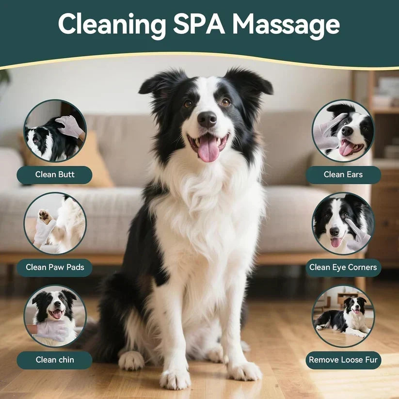 🥳OFFERTA SPECIALE 2026🥳💞OLTRE 50.000 VENDUTI! 🐾🧤 Guanti detergenti senza risciacquo per animali – design a cinque dita per muso, zampe e ventre. Deodoranti, antibatterici e ipoallergenici. Nessun bagno necessario! ✨✅