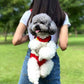 🐾✨ Zaino trasportino per cani e gatti – Dì Addio al disagio quando porti il tuo animale fuori! 🚫 Traspirante, sicuro, spallacci imbottiti, adatto per piccoli animali sotto 8kg 🚶 ✨