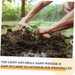 🌱SCONTO 50%! Raschietto manuale per giunti contro erbacce e muschio