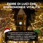 🎅 Crea un'atmosfera magica per Natale – decorazioni per l'albero, la casa e le finestre.🎁 Facili da usare, resistenti e bellissime. Le feste sotto una nuova luce! ✨