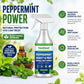 🗑️Spray Repellente per Insetti all'Olio di Menta Piperita Naturale – Massima Efficacia – Formula Profumata Sicura per Casa e Giardino