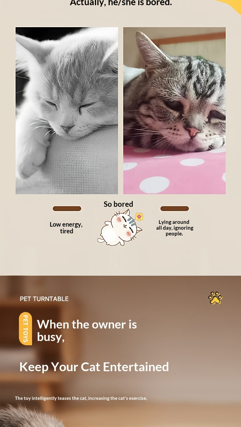 🐱Giocattolo Elettrico Intelligente 2 in 1 per Gatti | Scatola Formaggio Interattiva JUNGU H64