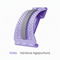 👩Dispositivo magnetico per lo stretching delle vertebre lombari con massaggio di digitopressione – efficace contro il mal di schiena nella vita quotidiana🔥