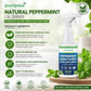 🗑️Spray Repellente per Insetti all'Olio di Menta Piperita Naturale – Massima Efficacia – Formula Profumata Sicura per Casa e Giardino