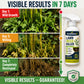 🥳SUPER VENDITA 2026🥳💞50K+ VENDUTI! 🌿🛡️ 50% DI SCONTO! Erbicida Senza Glifosato – Sicuro per animali e bambini, efficace contro le erbacce. Formula rapida e biodegradabile – la cura del giardino resa semplice! 🏠💚