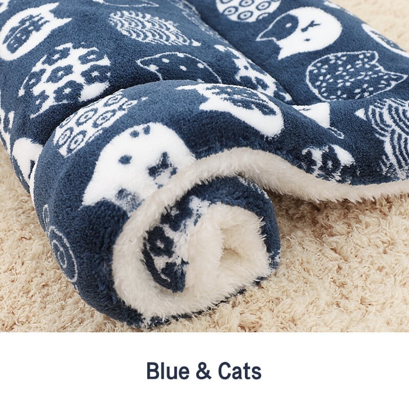 🐾Sconto del 49%🐱2025 Nuova coperta per gatti super accogliente e calmante