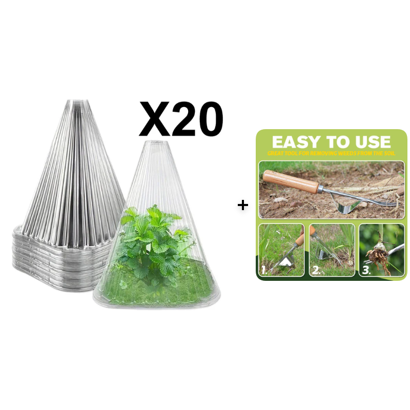 20/30 pz. Campana trasparente da giardino per piante