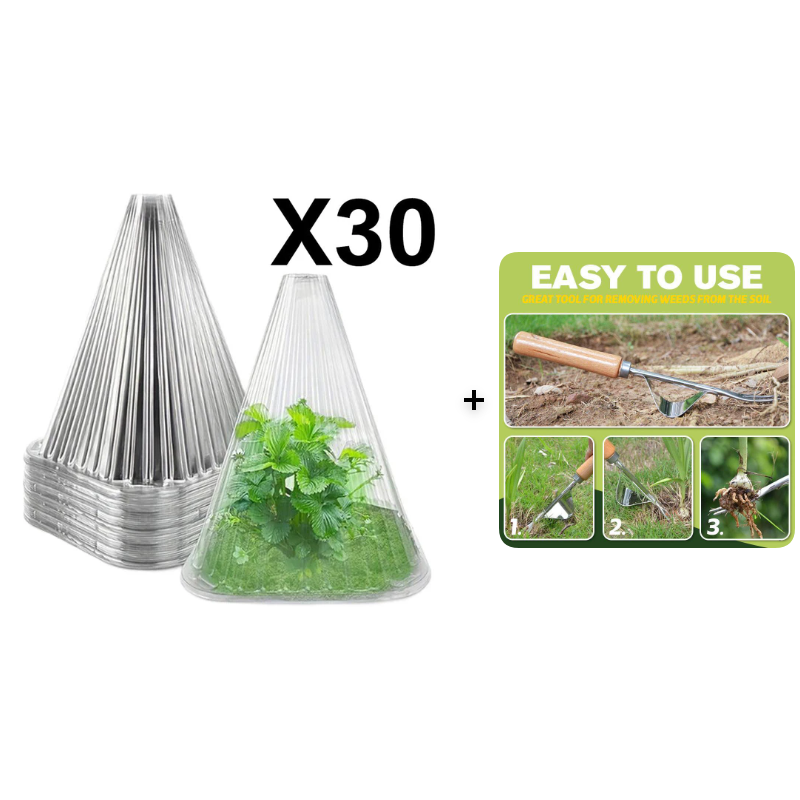 20/30 pz. Campana trasparente da giardino per piante