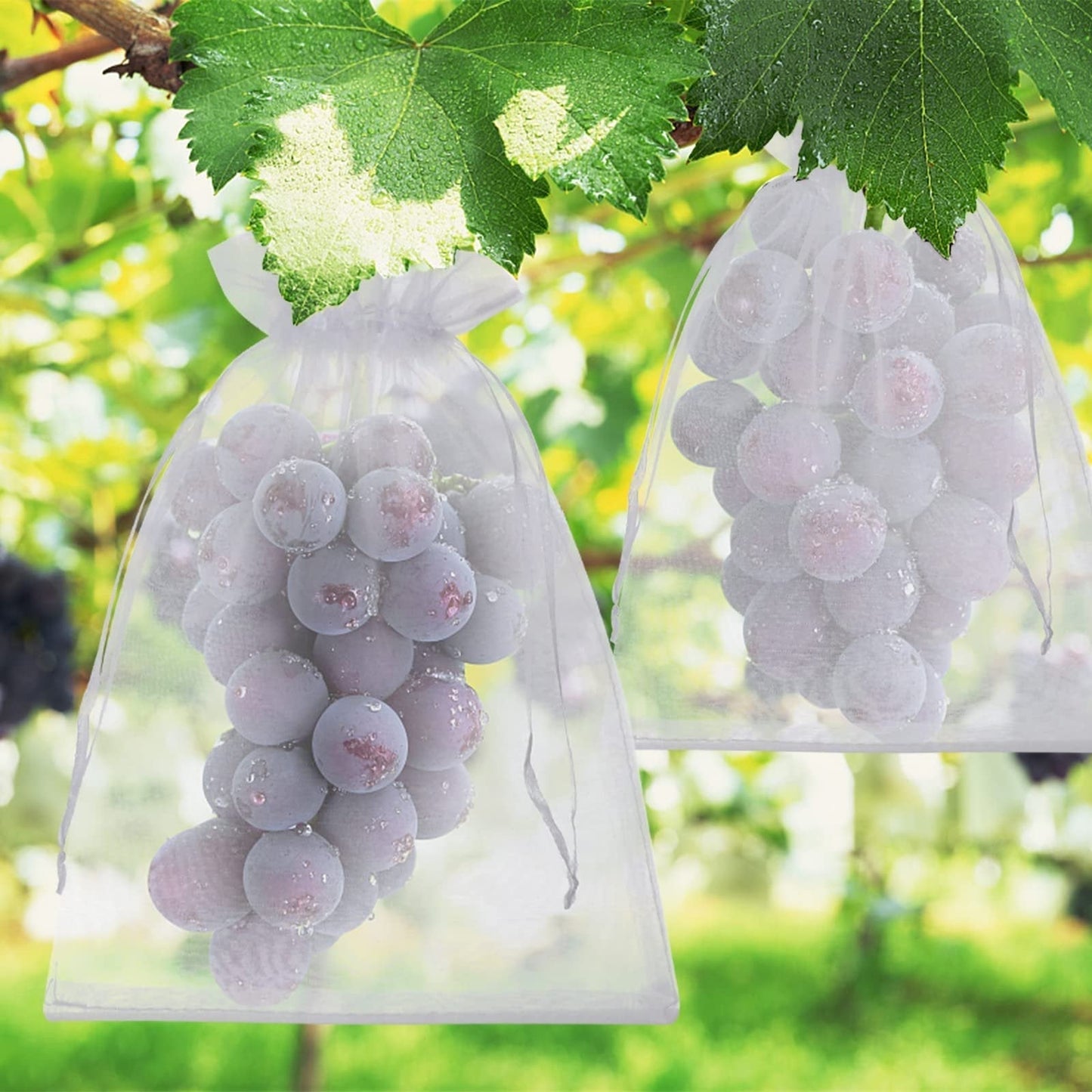 Sacchetti protettivi per la frutta