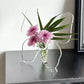 🦋Vaso Farfalla Trasparente! Bellissimo ornamento che illumina ogni angolo della casa!