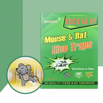 Powerful Non-Toxic Glue Trap for Mouse & Rat