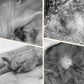Bastoncini detergenti delicati per orecchie di animali domestici