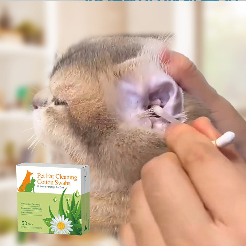 Bastoncini detergenti delicati per orecchie di animali domestici