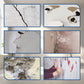 Kit Completo per Riparazione Cartongesso con Spatola - Rapido ed Efficiente