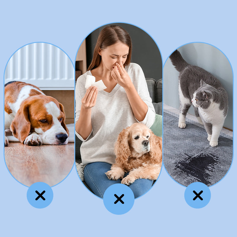 Spray Potente Rimuovi Odori e Smacchiatore per Animali Domestici