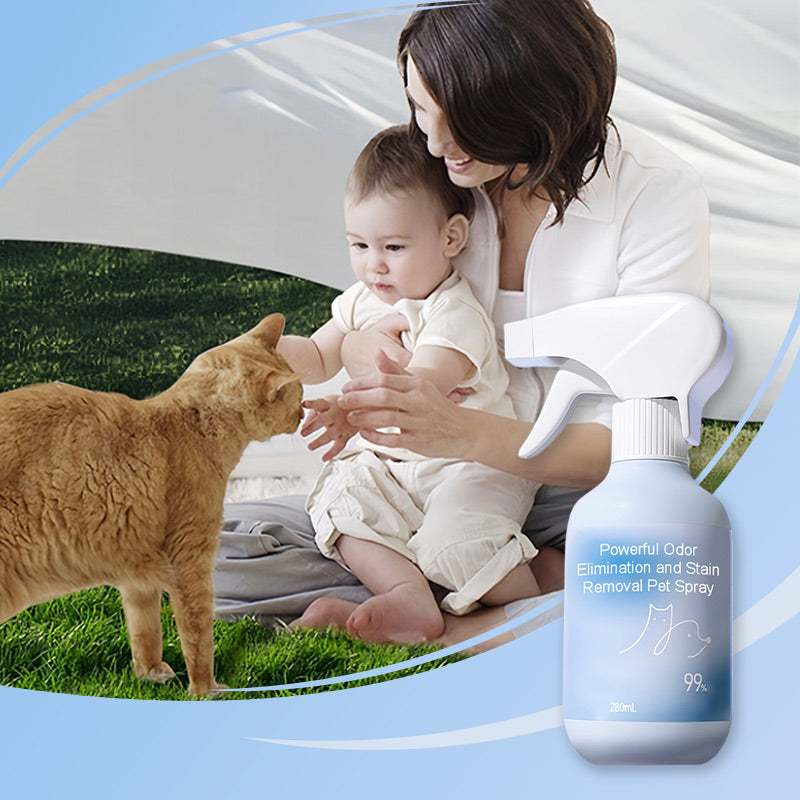 Spray Potente Rimuovi Odori e Smacchiatore per Animali Domestici