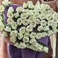 🔥50% DI SCONTO ORA! Coperta Bouquet all'Uncinetto – Design elegante a fiore, morbida e calda, idea regalo perfetta per ogni occasione✨