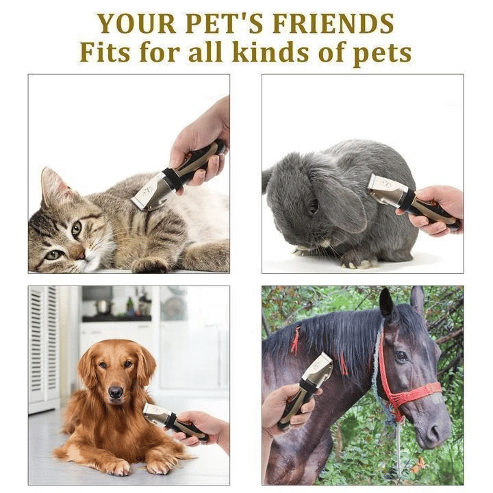 🥳2026 HOT SALE🥳💞50K+ SOLD! 🐾✂️ 50% OFF! Low Noise Pet Hair Clipper Set – cordless, ceramic blades, 4 guard combs. For cats, dogs & horses. Quiet grooming! 🔋💚
