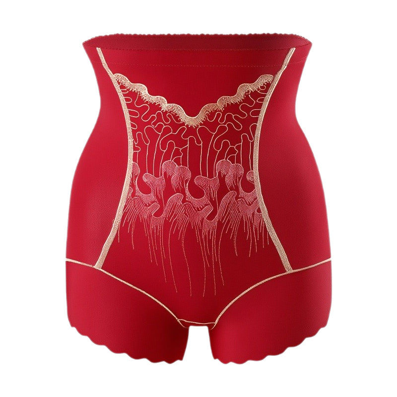 Culotte Gainante Femme Haute Taille avec Contrôle du Ventre