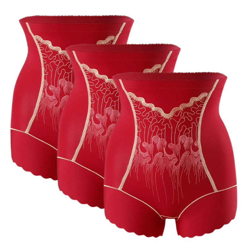 Culotte Gainante Femme Haute Taille avec Contrôle du Ventre