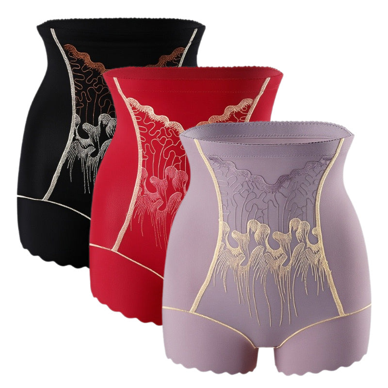 Culotte Gainante Femme Haute Taille avec Contrôle du Ventre
