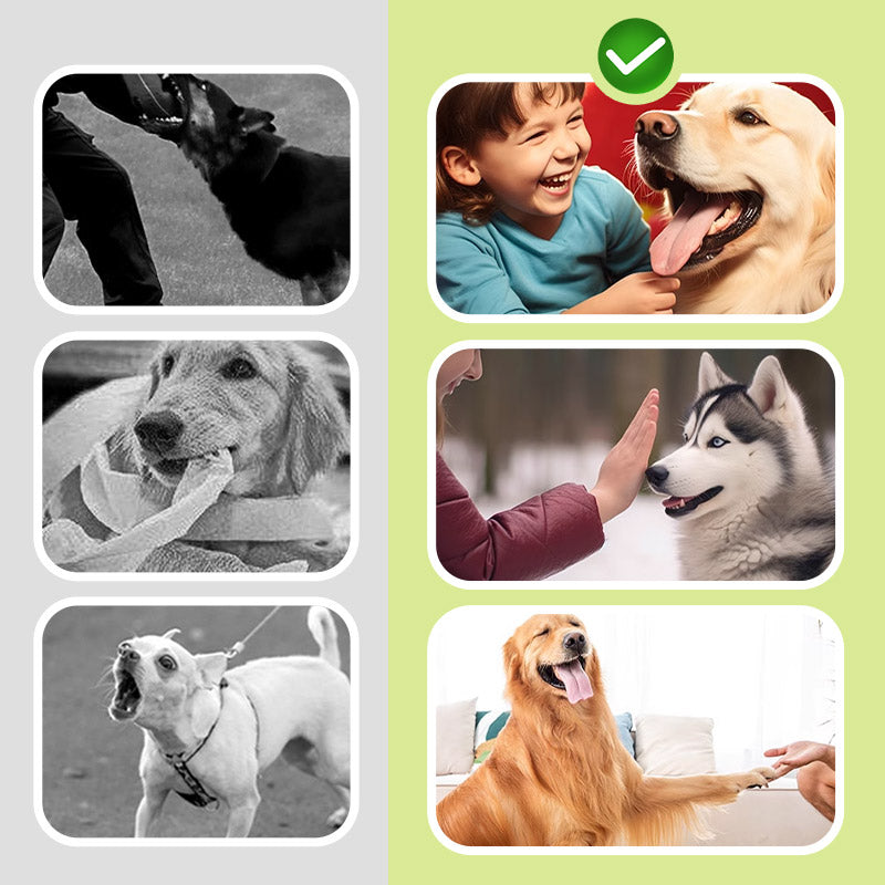 Dispositivo ad ultrasuoni compatto e portatile per l’addestramento dei cani