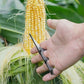 Strumento Sgranatore e Sbucciatore di Mais 🌽⚙️