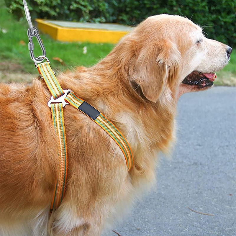 Cavo di fissaggio resistente per cani