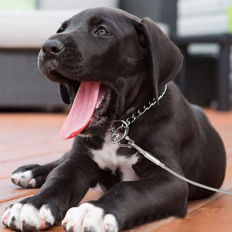 Cavo di fissaggio resistente per cani
