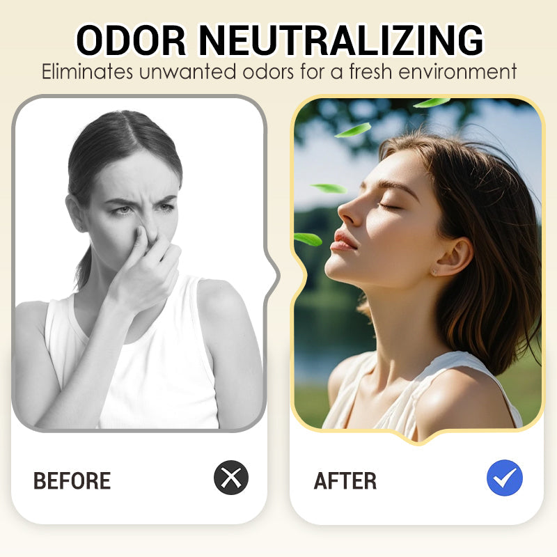 🔥Nuovi Arrivi 2026: 50% di Sconto per Tempo Limitato!🔥 Aromaterapia Invertita a Forma di Palla di Neve