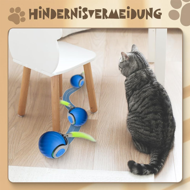 Sensore automatico intelligente per palline da gatto