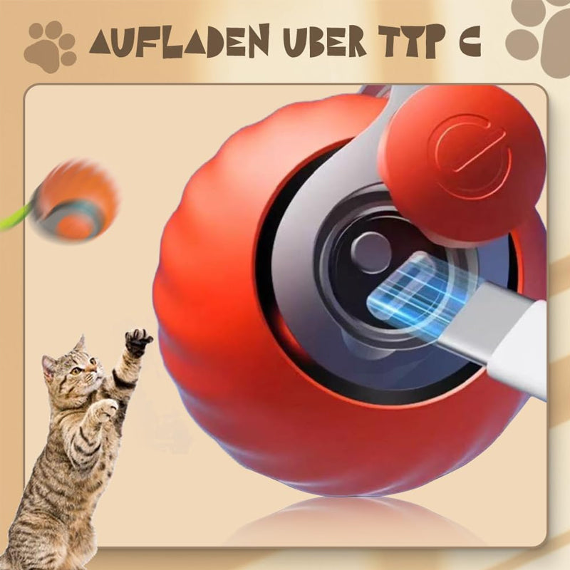 Sensore automatico intelligente per palline da gatto