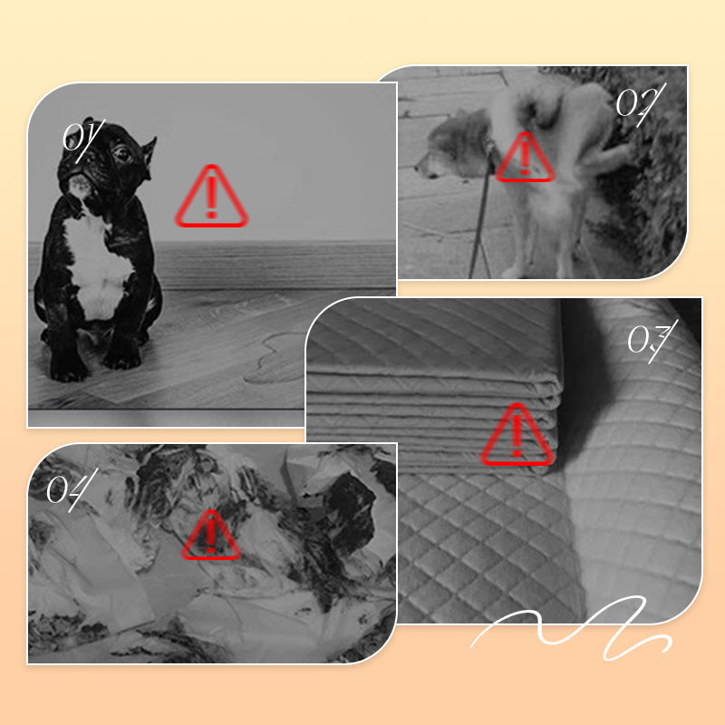 🎉 2026 Sale — Over 48,000 Sold! 🐾 Super Absorbent Dog Pee Pads
