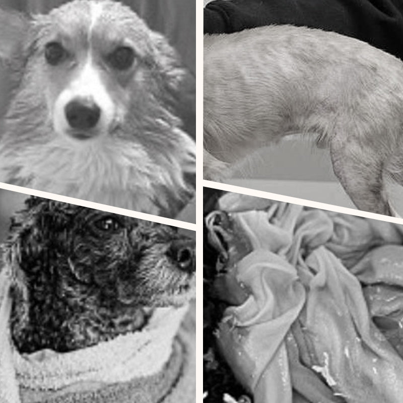 Accappatoio per Cani Morbido, Assorbente e ad Asciugatura Rapida